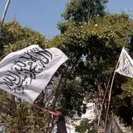 Pejuang Bela Islam WhatsApp Channel