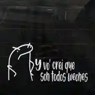 Puras weas nomas!  WhatsApp Channel
