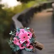 روح وريحان WhatsApp Channel