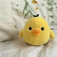 shoopinggg🐣 WhatsApp Channel