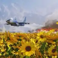 Соняшник 🦅 WhatsApp Channel