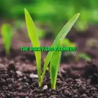 The Backyard Farmers WhatsApp Channel