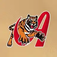 Tigres de Aragua BBC WhatsApp Channel