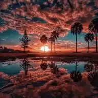 Aesthetic Nature WhatsApp Channel