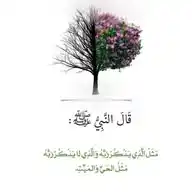 القلَبَ المَكْنُونٌ ❤️‍🩹 WhatsApp Channel