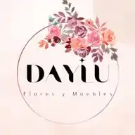 DAYLU WhatsApp Channel