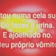 Frasessidney WhatsApp Channel