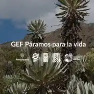 GEF-Páramos para la vida WhatsApp Channel