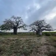 Greenspace | Environment & Climate WhatsApp Channel