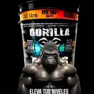 Gym y Artes Marciales Mixtas. WhatsApp Channel