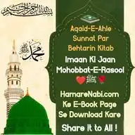 Hamare Nabi ﷺ Official WhatsApp Channel