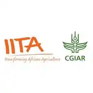 IITA WhatsApp Channel