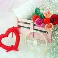 خواطر عبارات كلمات WhatsApp Channel