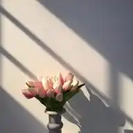 نَـقـــاء 💗 WhatsApp Channel