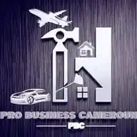 Offres de Différents Services de Pro Business Cameroun Sarl WhatsApp Channel