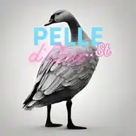 Pelledocast WhatsApp Channel