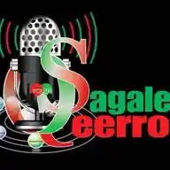 Sagalee Qeerroo Bilisummaa Oromoo! WhatsApp Channel
