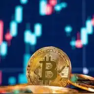 Coiner WhatsApp WhatsApp Channel