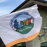 Cologno Solidale e Democratica  WhatsApp Channel