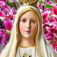 Consagración 🙏 Heraldos del Evangelio WhatsApp Channel