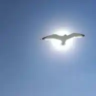 Cryptian Nation WhatsApp Channel