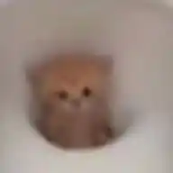 Dibuja Más Lindo <3 WhatsApp Channel