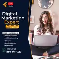 Digital Base
Insight WhatsApp Channel