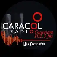 Guaviare Estereo WhatsApp Channel
