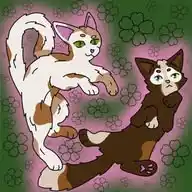 🐅🐾KᗩTO🐾🐅 WhatsApp Channel