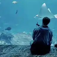 Lost direction WhatsApp Channel
