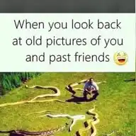 Memes and aesthetics WhatsApp Channel