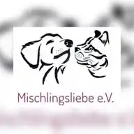 Mischlingsliebe e.V. WhatsApp Channel