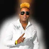 Music + Mixes + Mashups + More ™ WhatsApp Channel