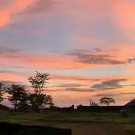 Nature Is Amazing WhatsApp Channel