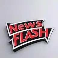 News Flash WhatsApp Channel