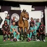 Orlando Pirates FC FANS☠️ WhatsApp Channel