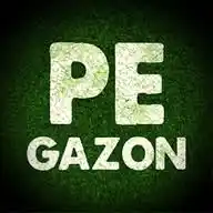 pe Gazon WhatsApp Channel