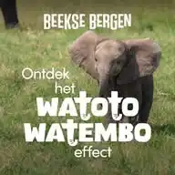 Watotowatembo Beekse Bergen WhatsApp Channel