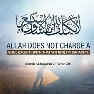 Where Quranic Wisdom Meets Everyday Life 🔄 WhatsApp Channel