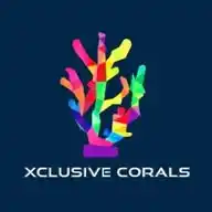 Xclusive Corals Special Deals und Angebote WhatsApp Channel