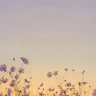 BarudkkSantrii🦋🌃🎀 WhatsApp Channel