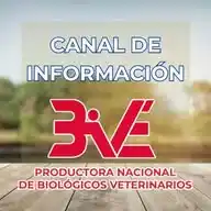 BIVEPecuarioInfo WhatsApp Channel