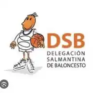 Delegación Salmantina de Baloncesto 🏀 WhatsApp Channel