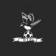 Dereham Town FC WhatsApp Channel