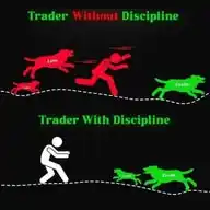 ForexTrading-Set-UP WhatsApp Channel