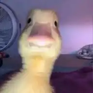 جنو🐸 WhatsApp Channel