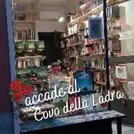 Il Covo della Ladra - iDobloni Edizioni WhatsApp Channel