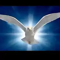 Jesus-Zentrum-Deutschland. WhatsApp Channel