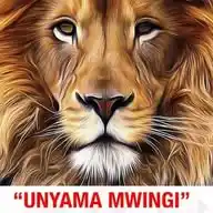 Kwa Taarifa Za Michezo Mbalimbali WhatsApp Channel