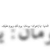 نافذة WhatsApp Channel